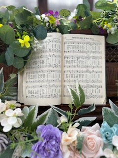 Amaris Sanctuary 's image