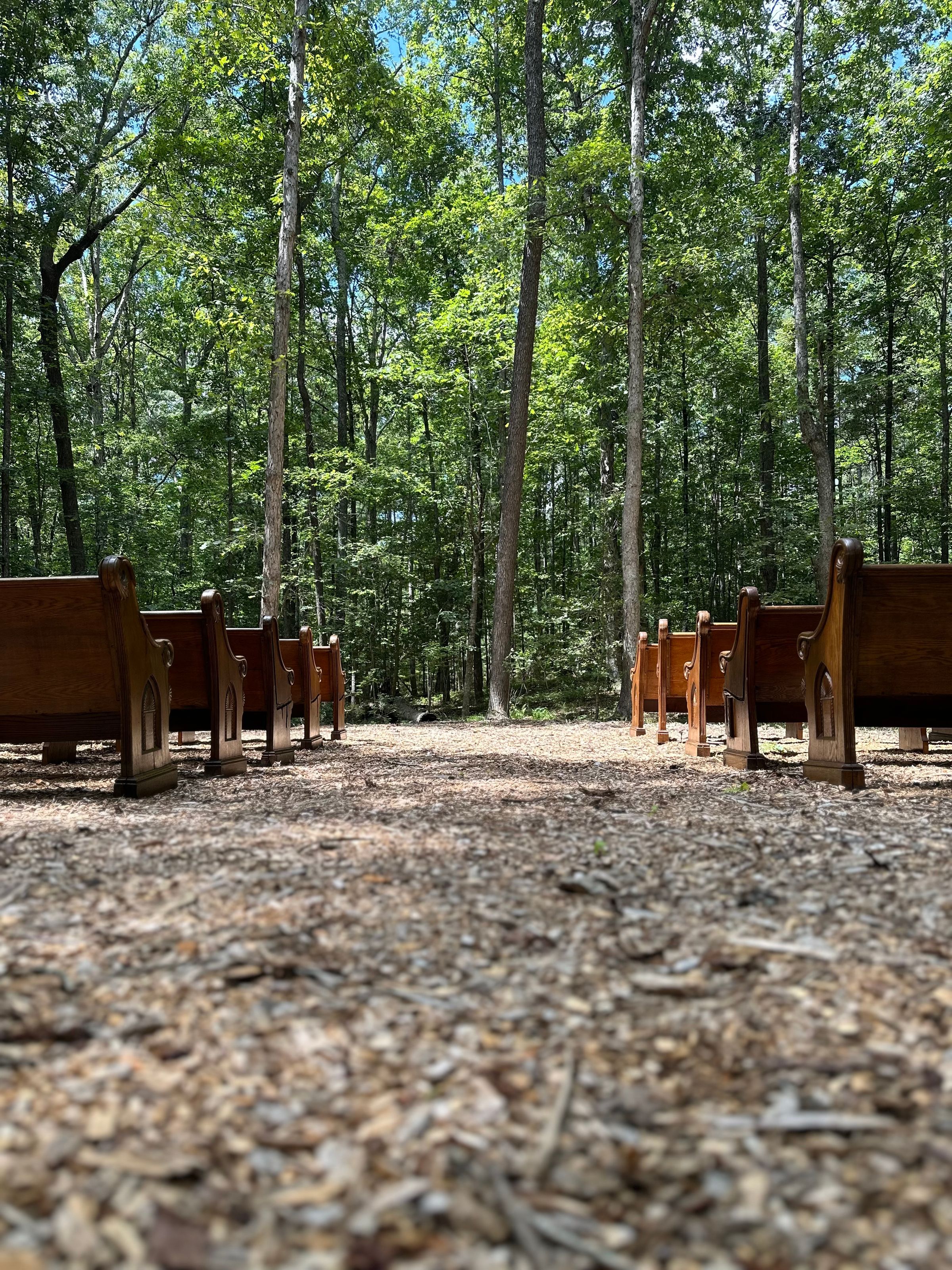 Amaris Sanctuary 's image