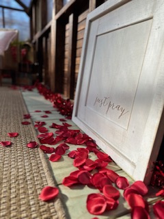 Amaris Sanctuary 's image