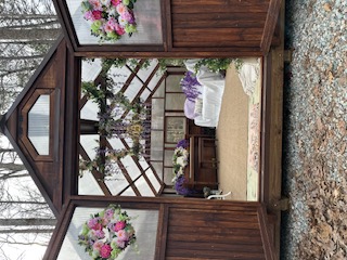 Amaris Sanctuary 's image