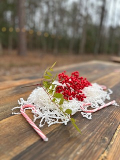 Amaris Sanctuary 's image