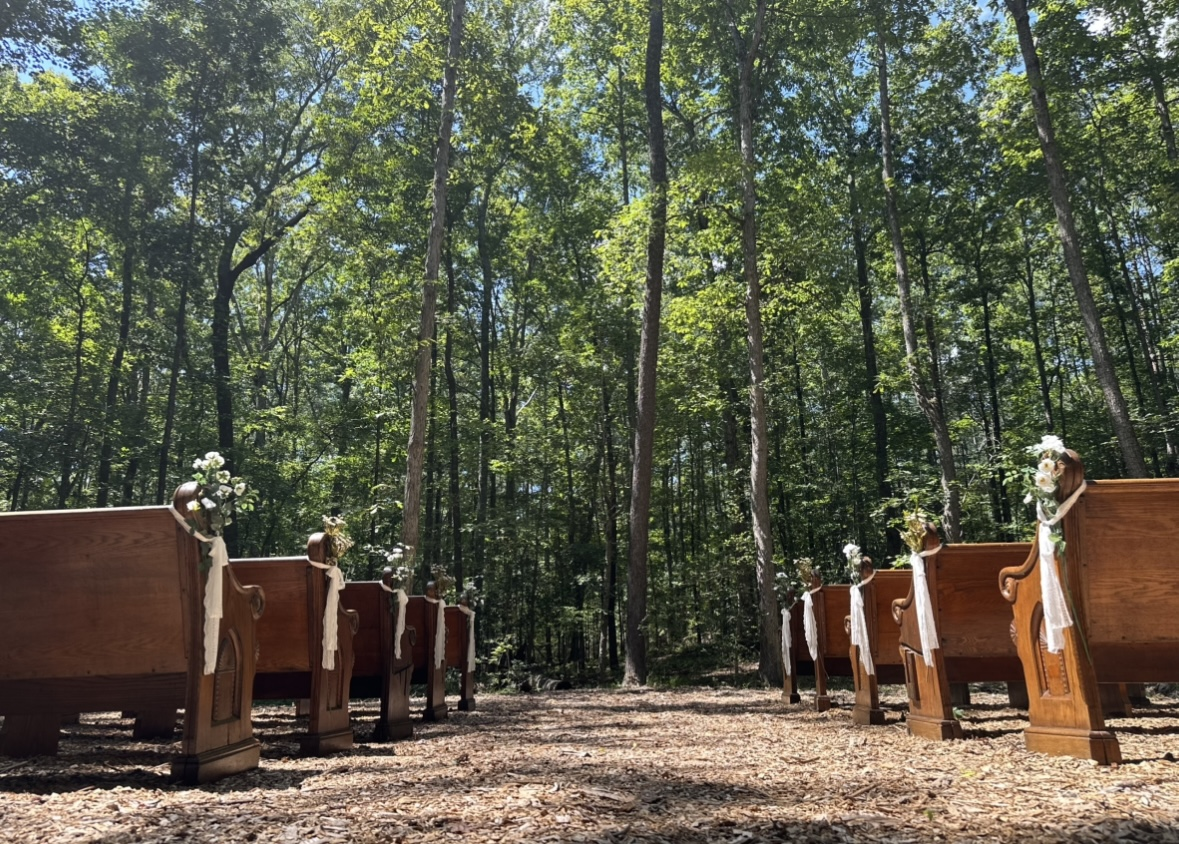 Amaris Sanctuary 's image