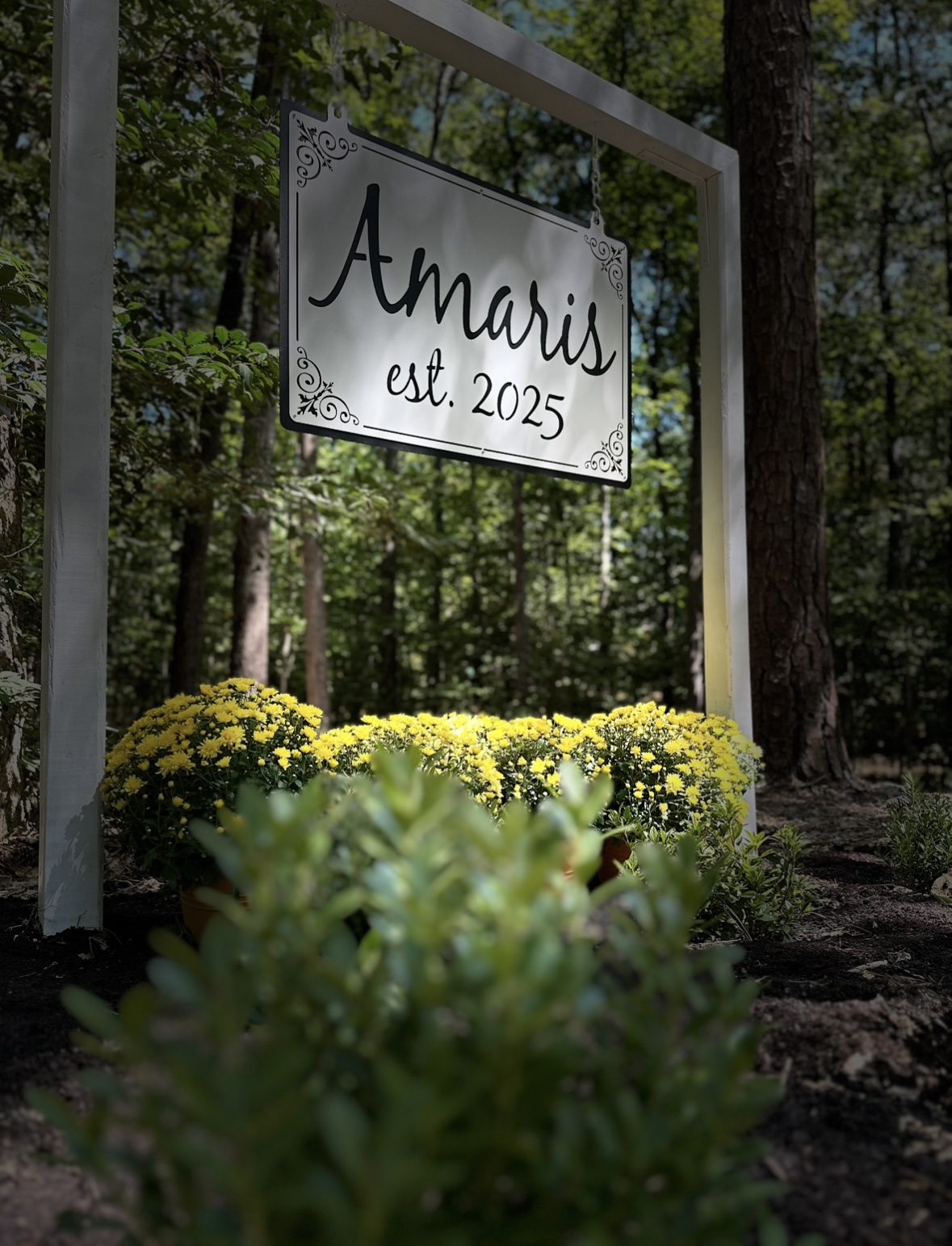 Amaris Sanctuary 's image