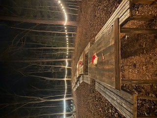 Amaris Sanctuary 's image