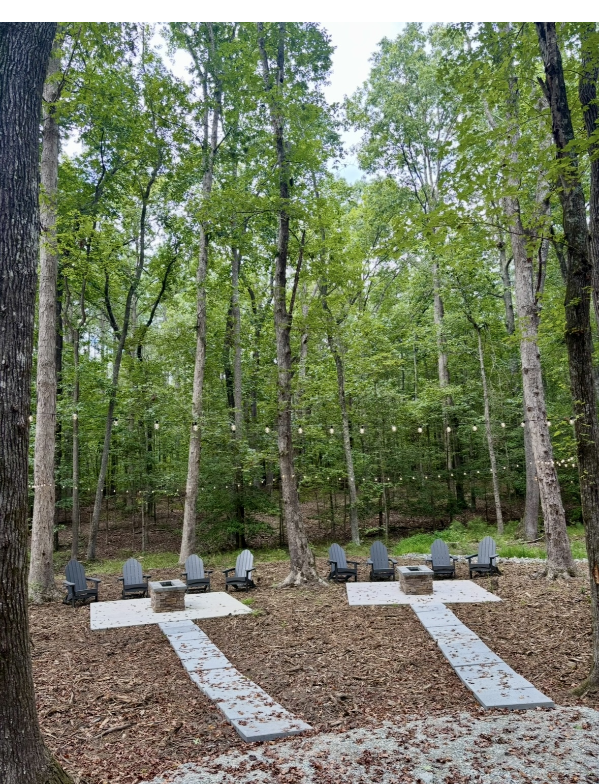 Amaris Sanctuary 's image