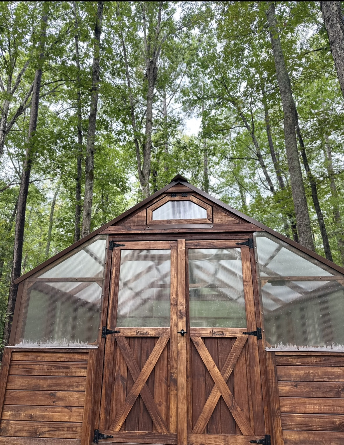 Amaris Sanctuary 's image