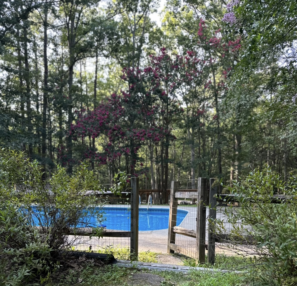 Amaris Sanctuary 's image