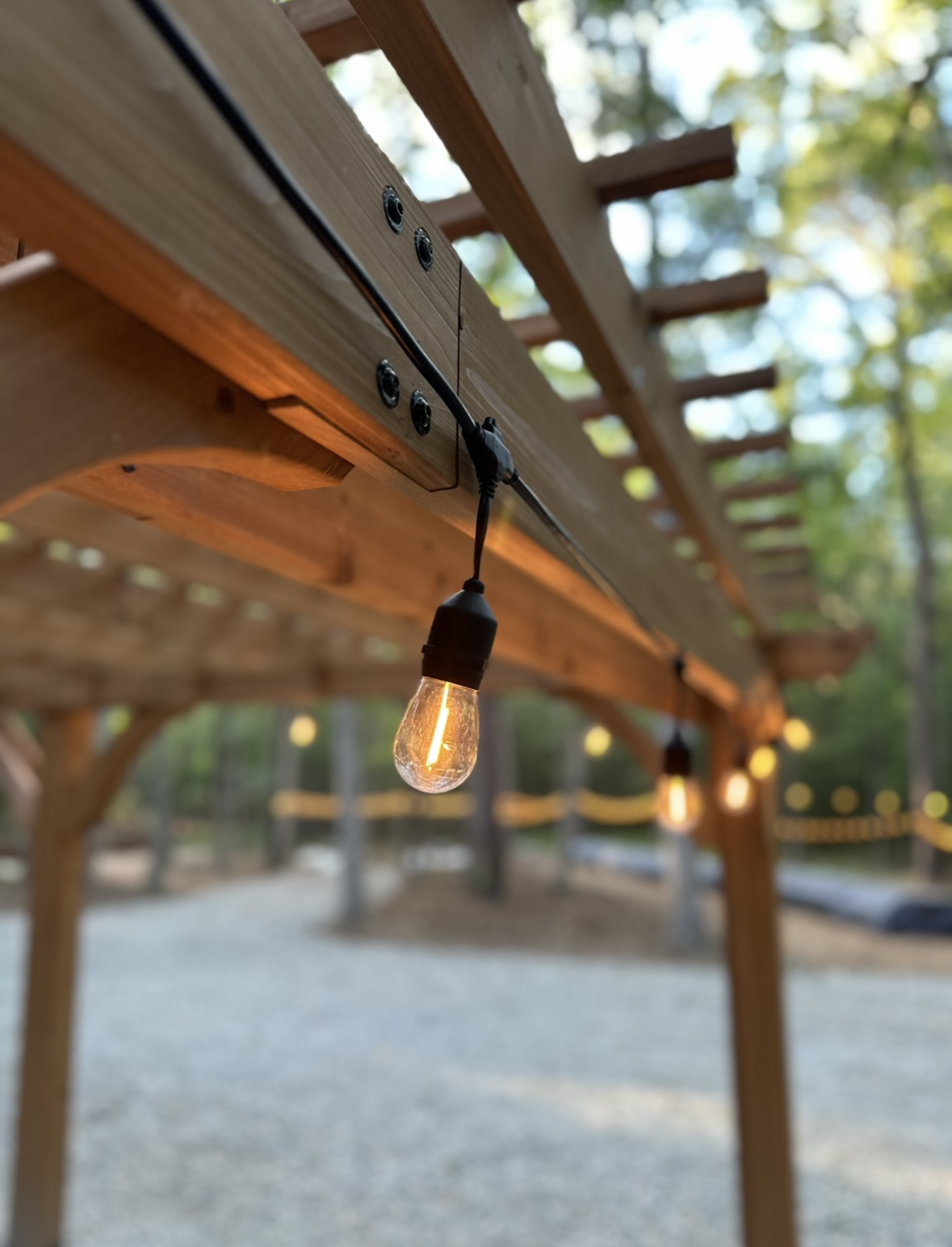 Amaris Sanctuary 's image