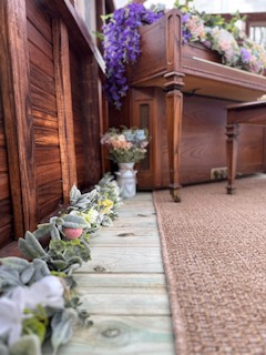 Amaris Sanctuary 's image