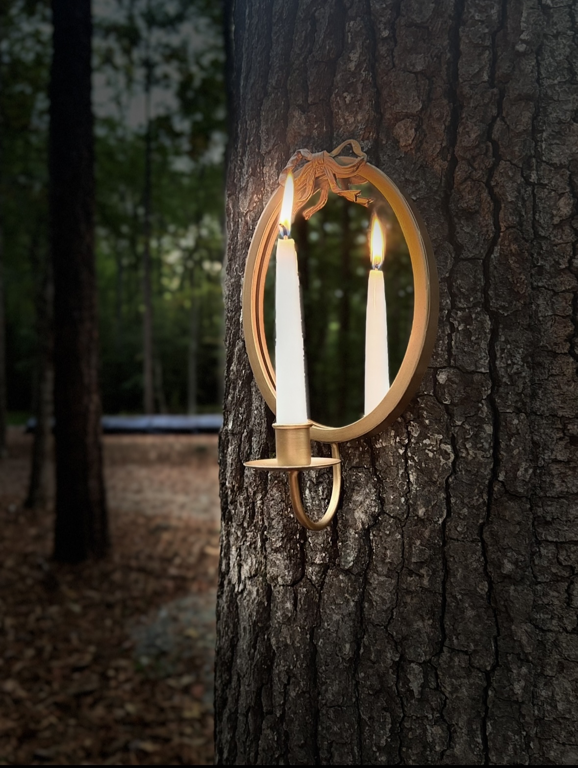 Amaris Sanctuary 's image