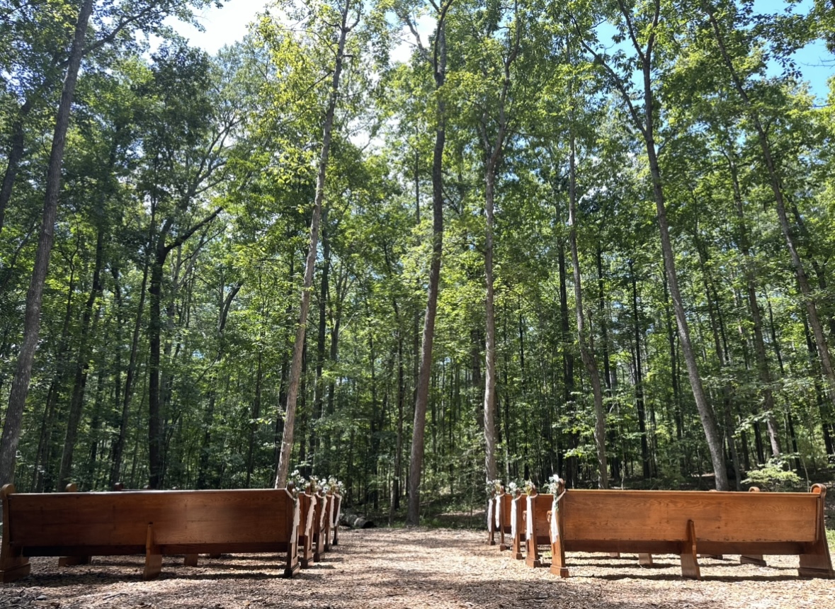 Amaris Sanctuary 's image