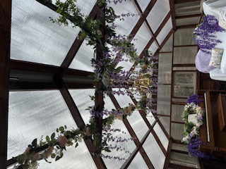 Amaris Sanctuary 's image