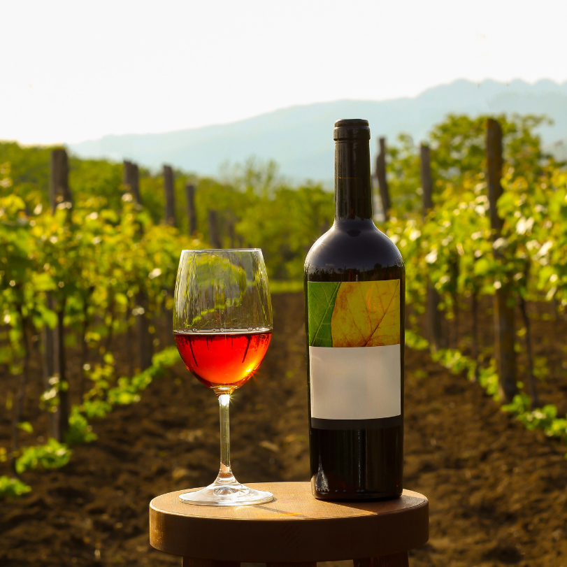 Better Choice 's image