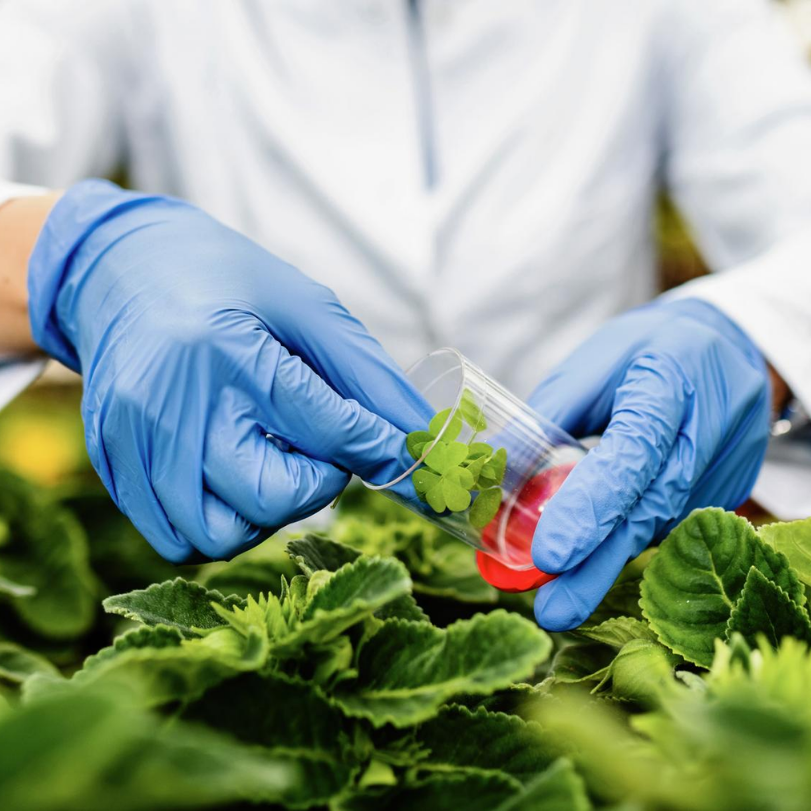 Better Choice 's image