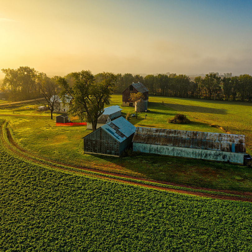 Better Choice 's image