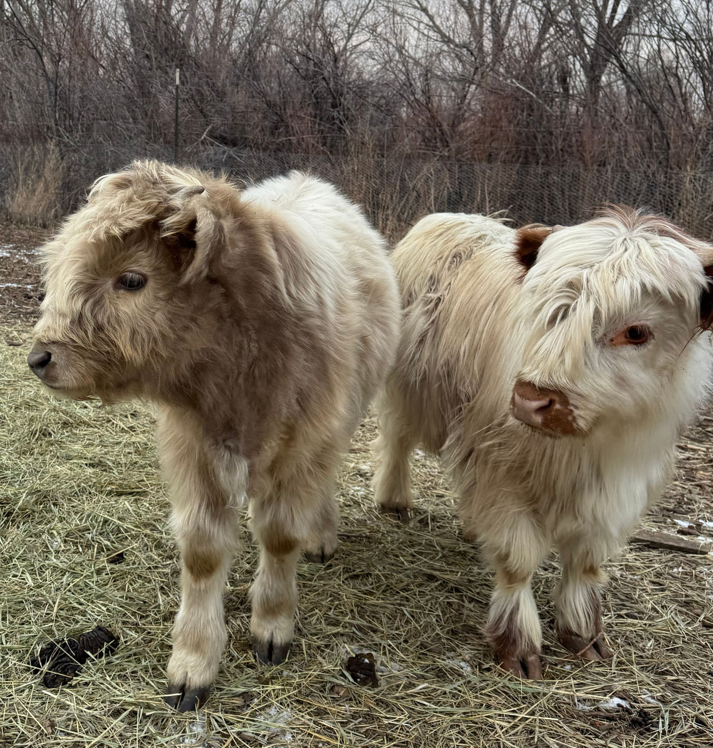 Grace Farm & Gardens's image