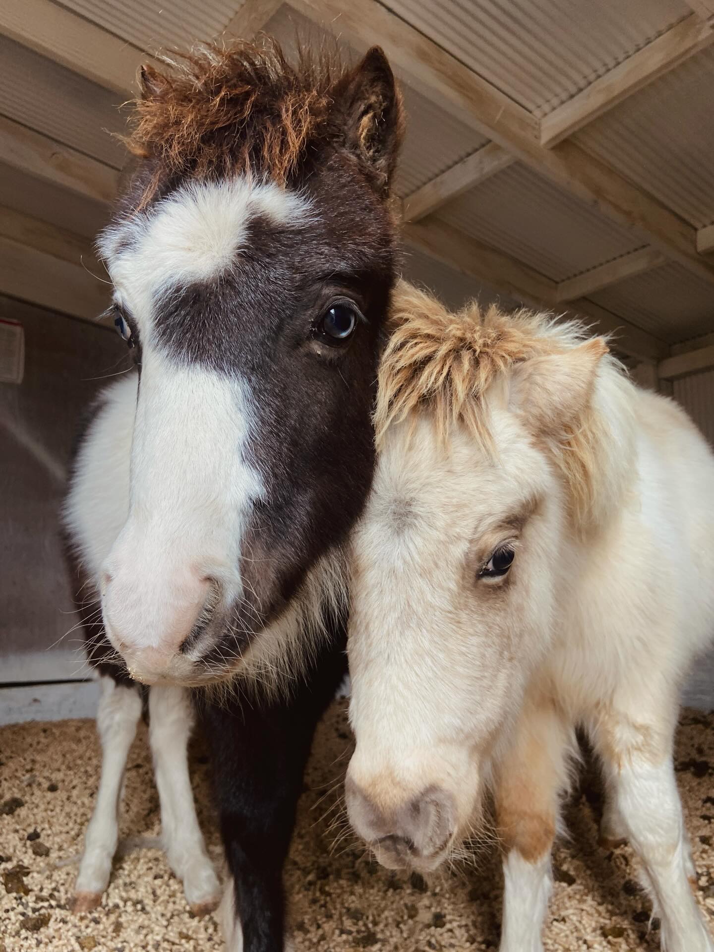 Grace Farm & Gardens's image