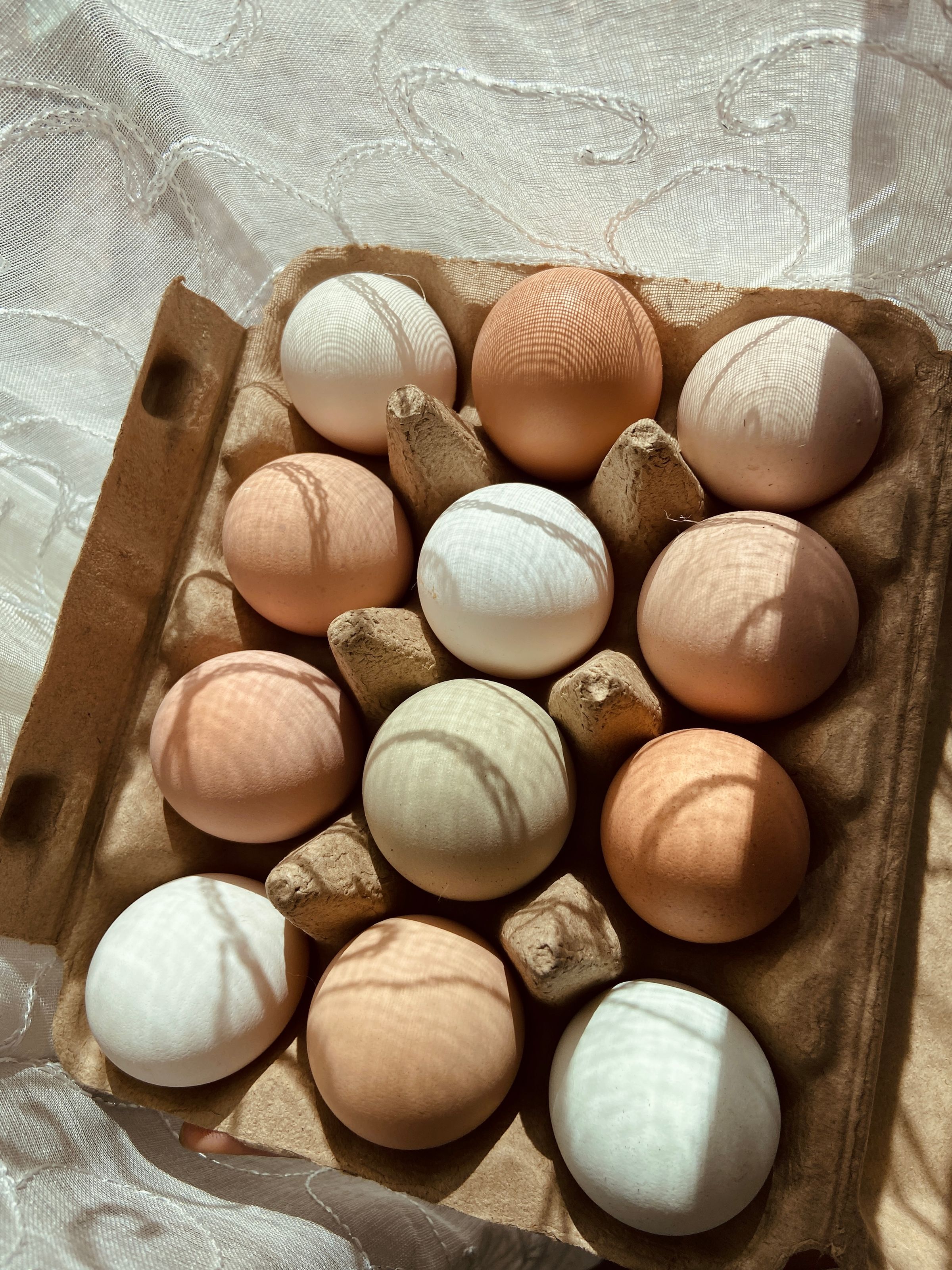 Grace Farm & Gardens's image