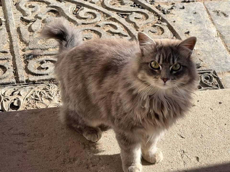 Grace Farm & Gardens's image