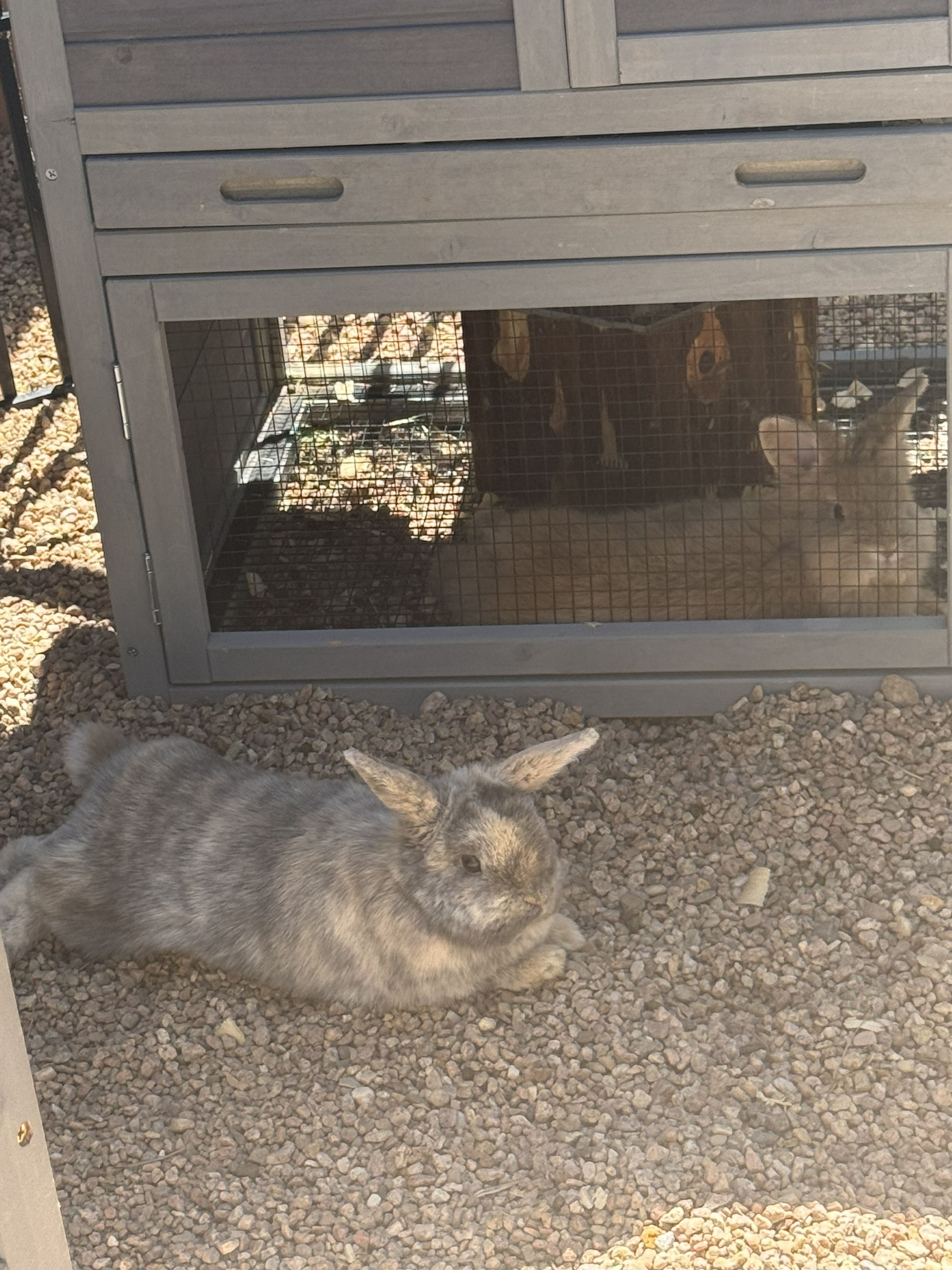 Grace Farm & Gardens's image