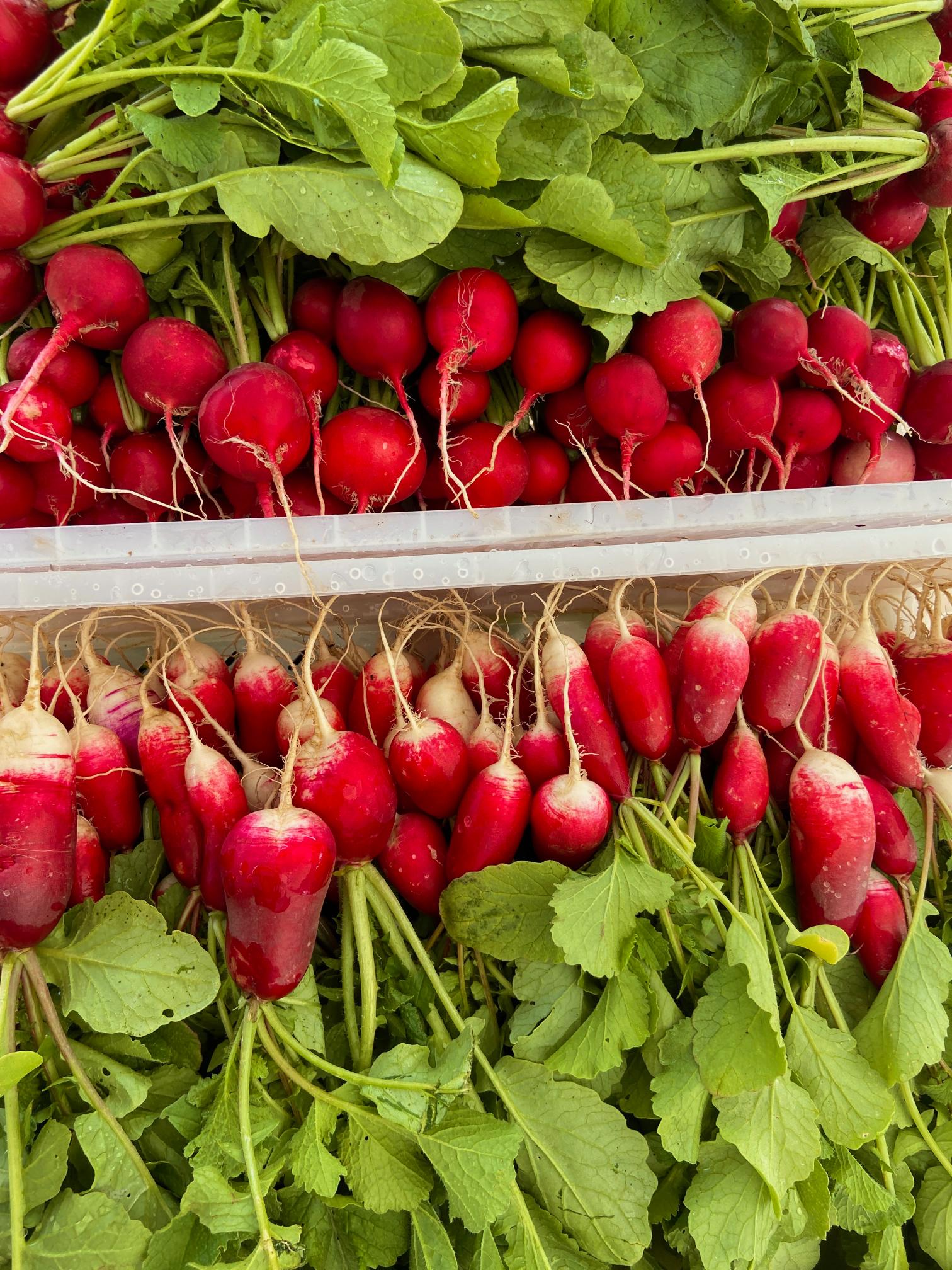 Grace Farm & Gardens's image