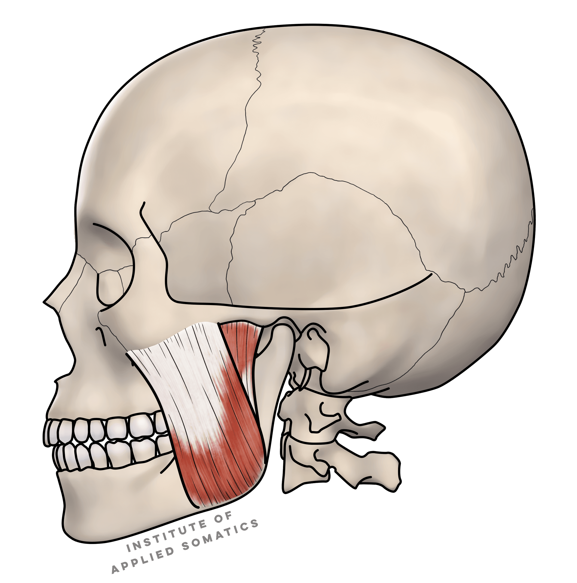 Middle Place Movement's image