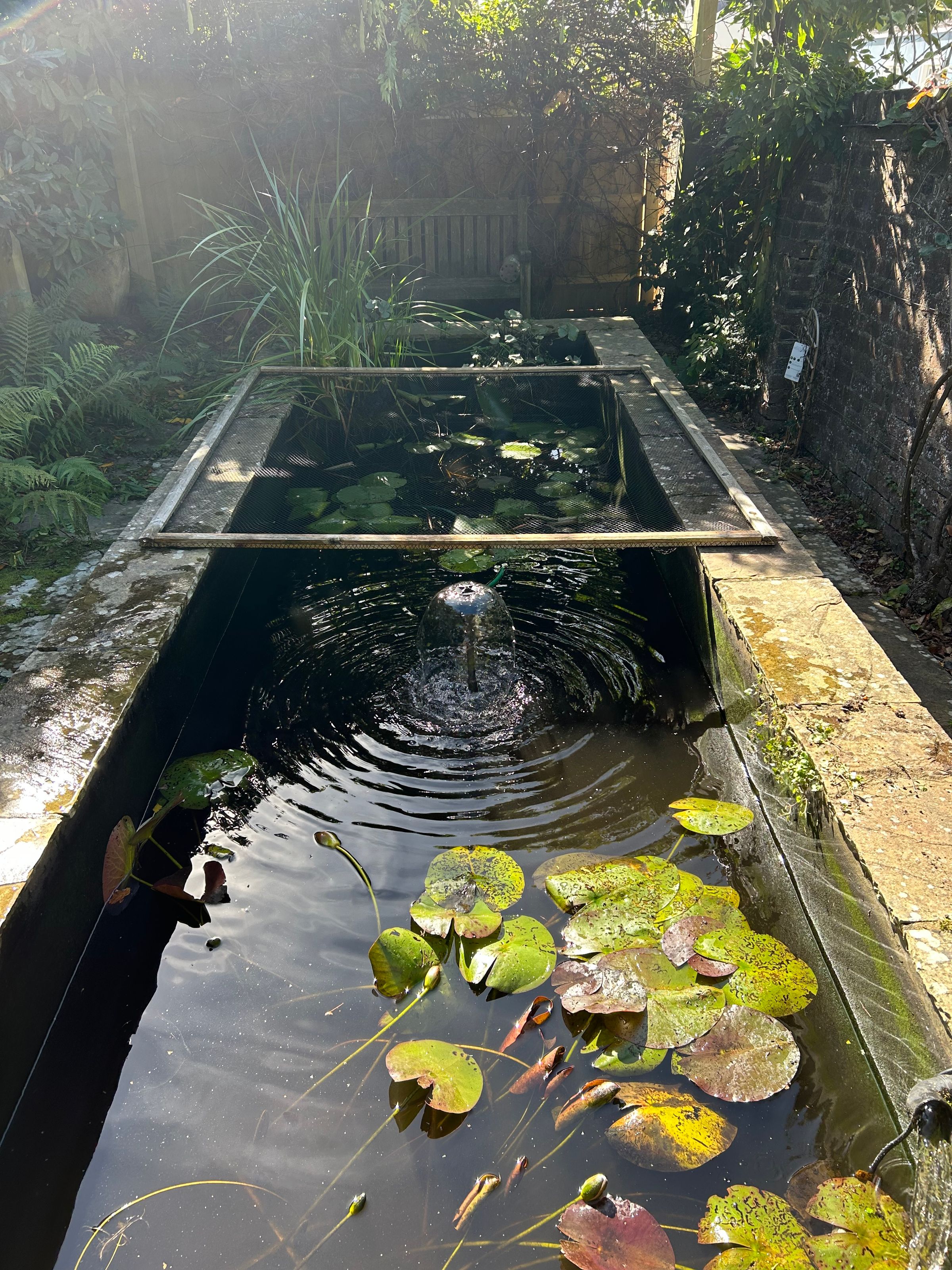 Alex’s Aquatics 's image