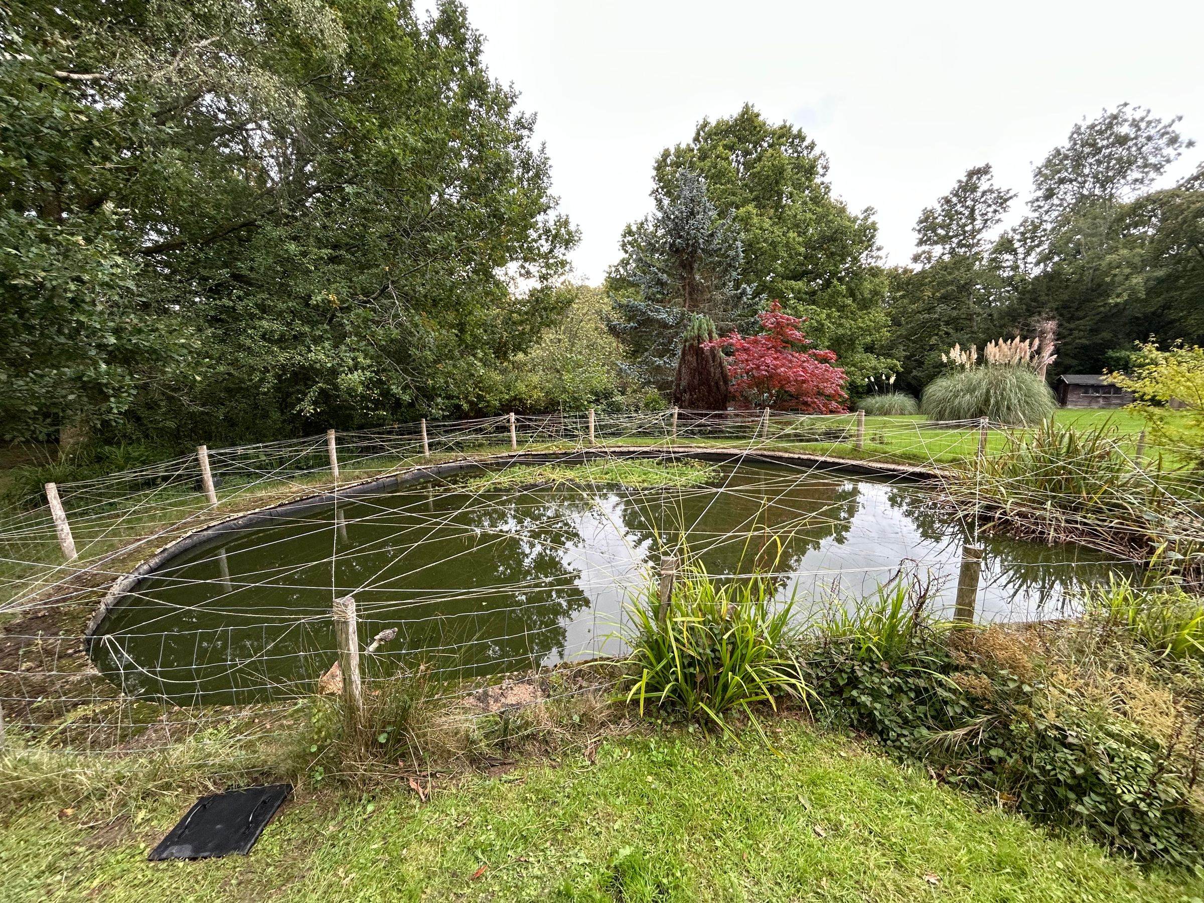 Alex’s Aquatics 's image