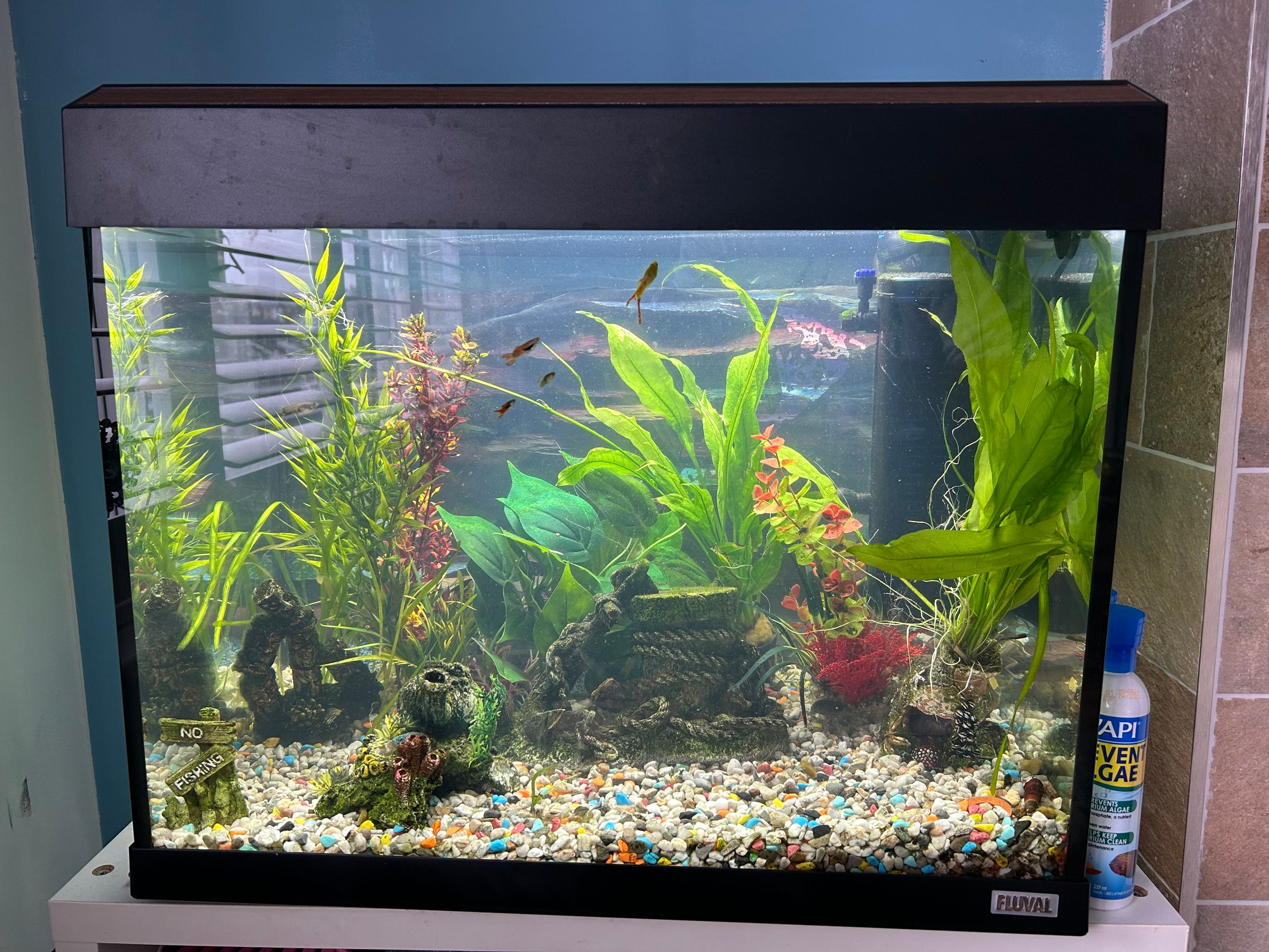 Alex’s Aquatics 's image