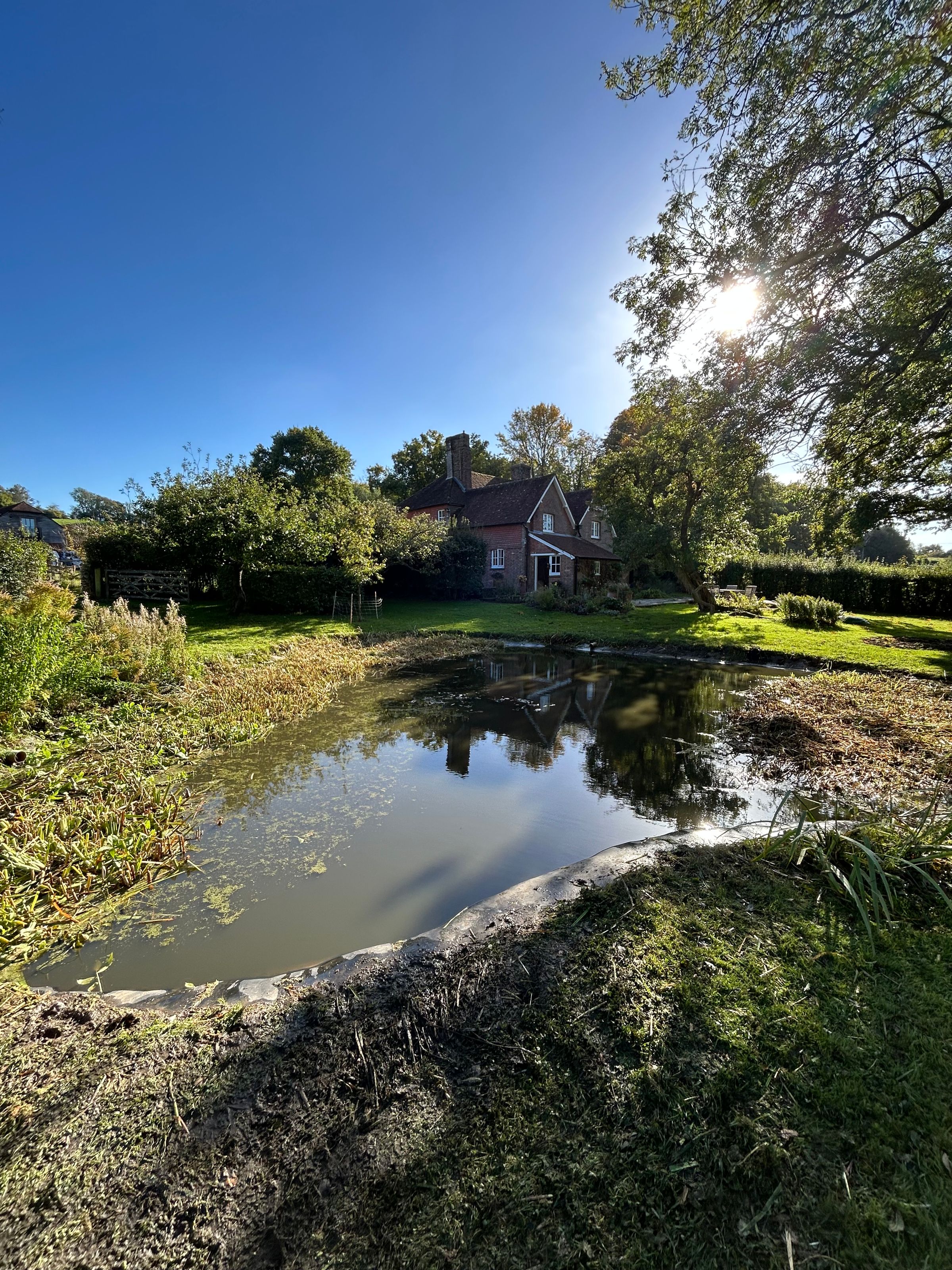 Alex’s Aquatics 's image