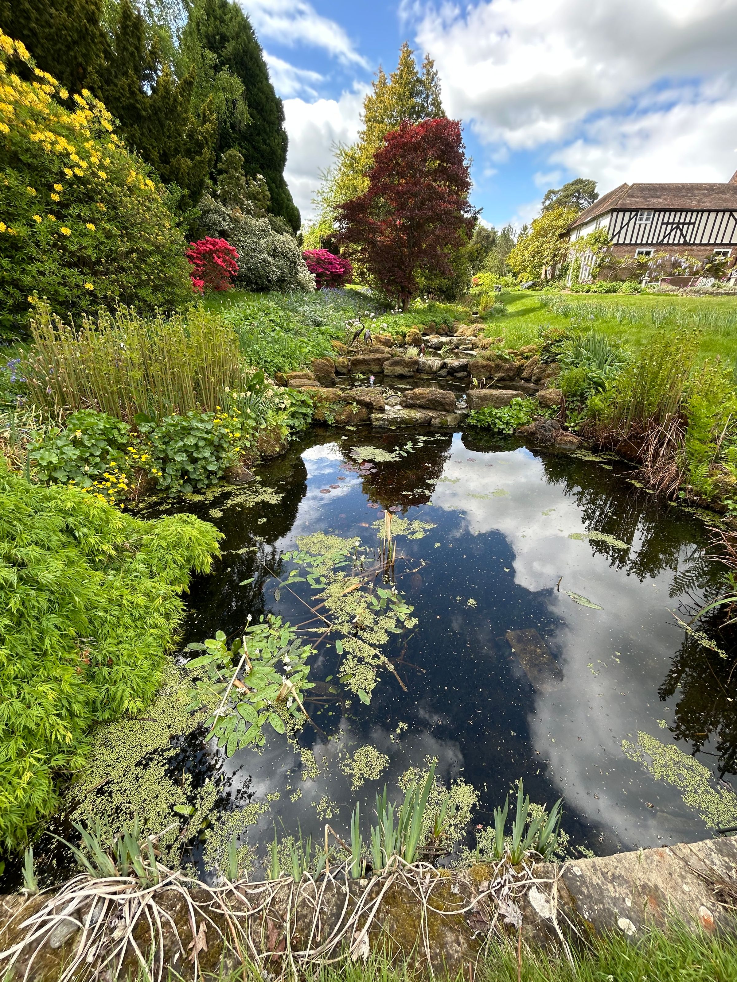 Alex’s Aquatics 's image