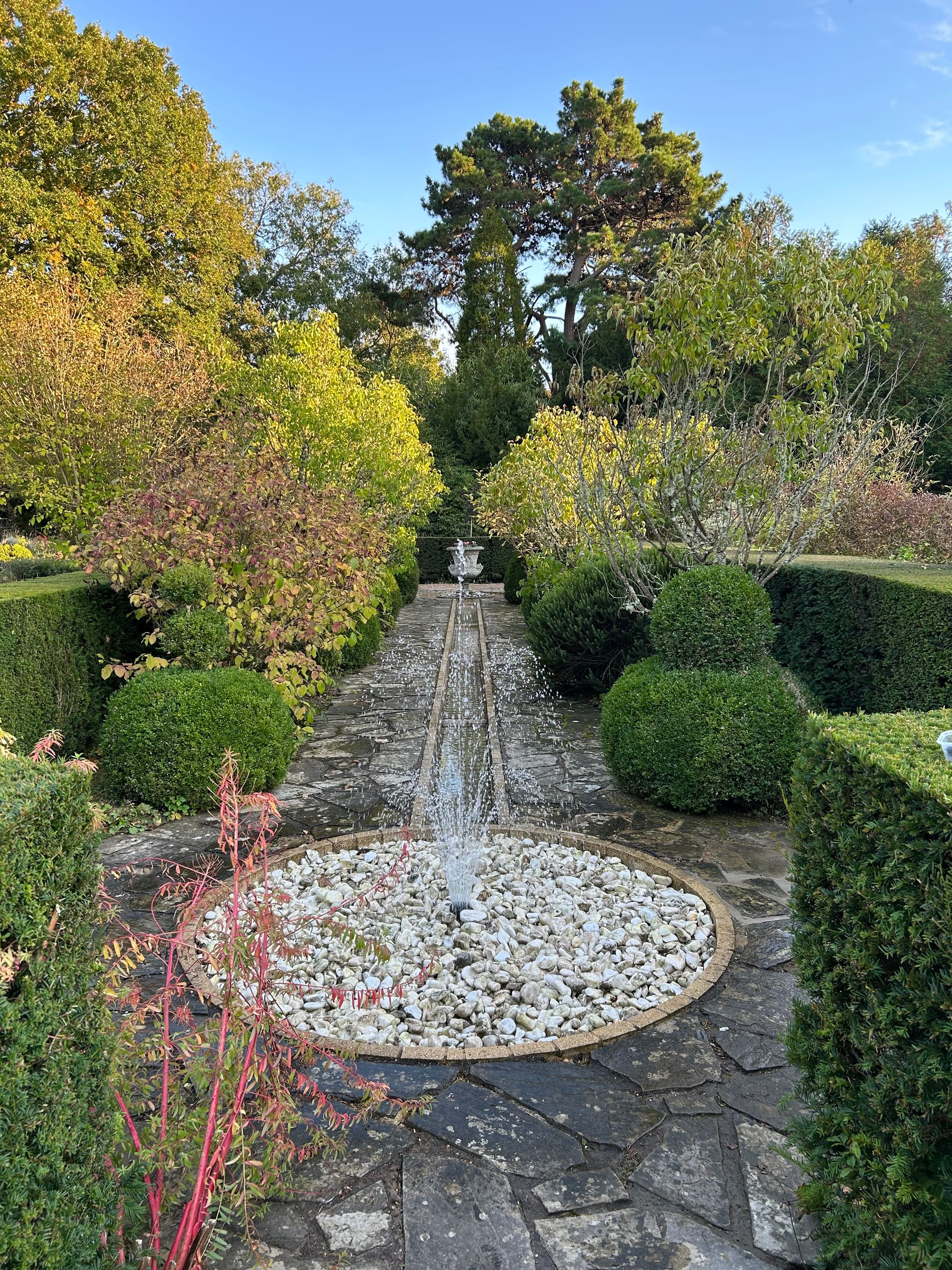 Alex’s Aquatics 's image