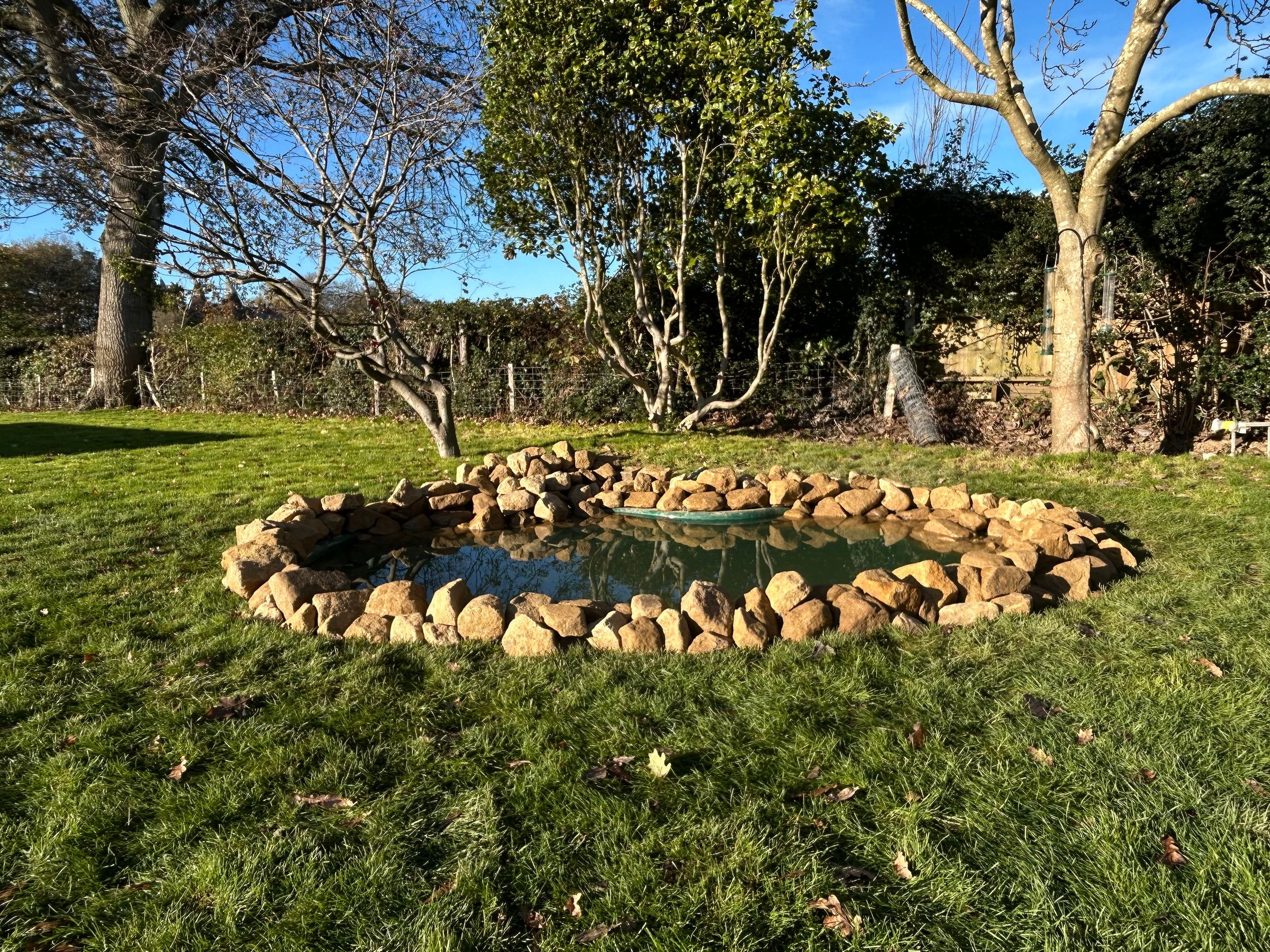 Alex’s Aquatics 's image