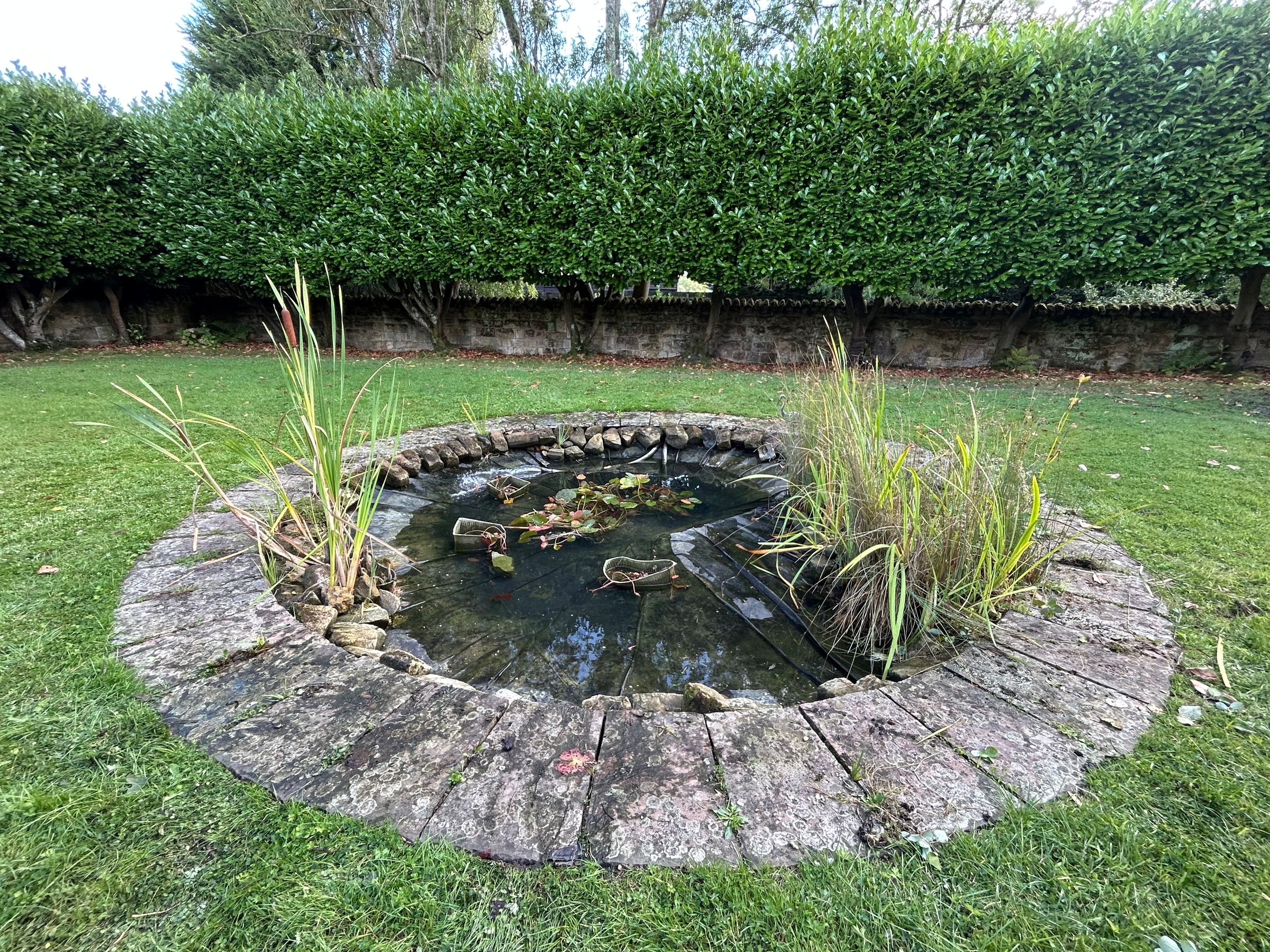 Alex’s Aquatics 's image