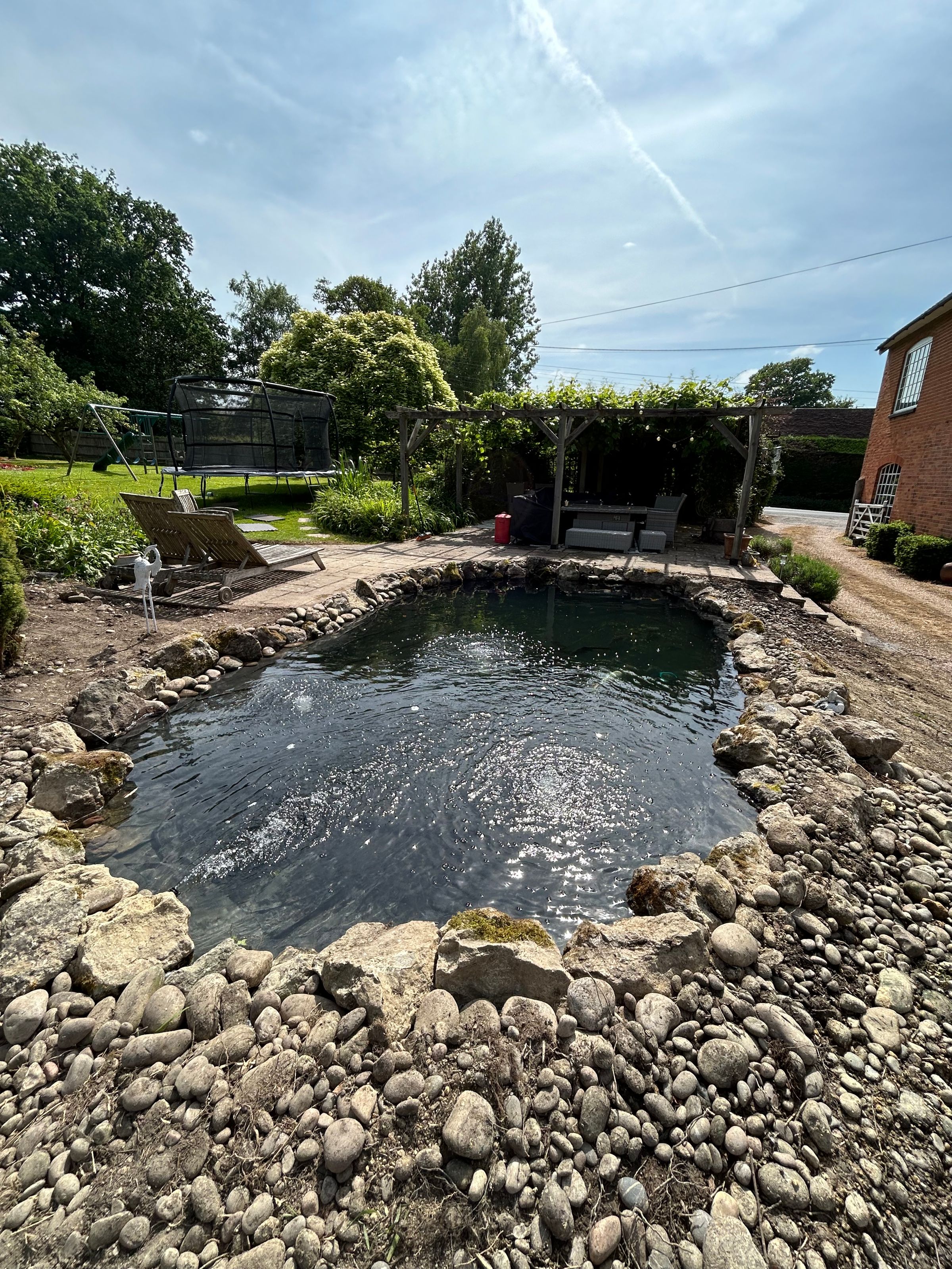 Alex’s Aquatics 's image