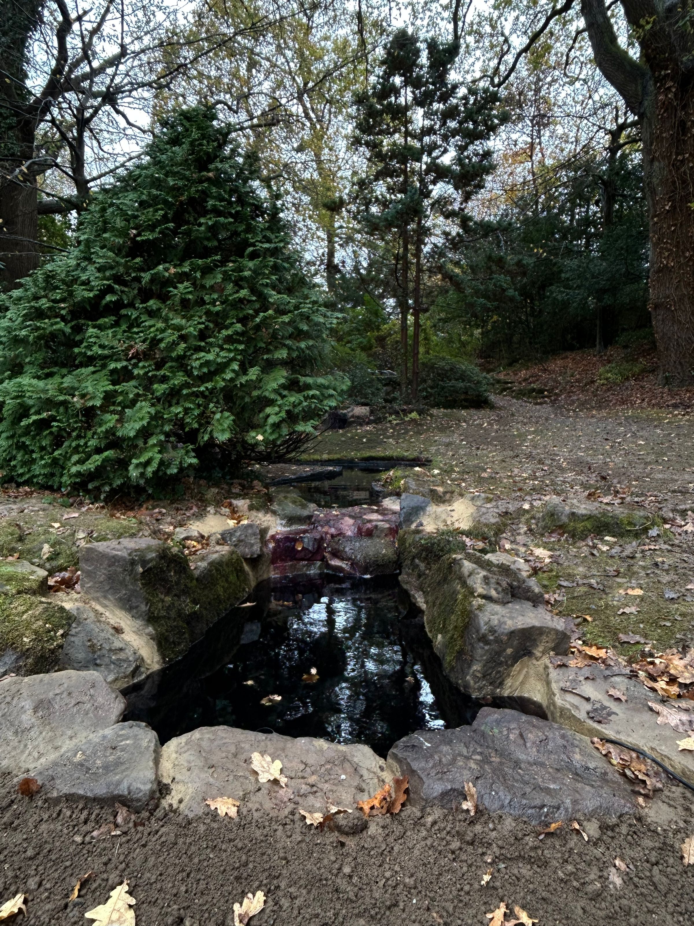 Alex’s Aquatics 's image