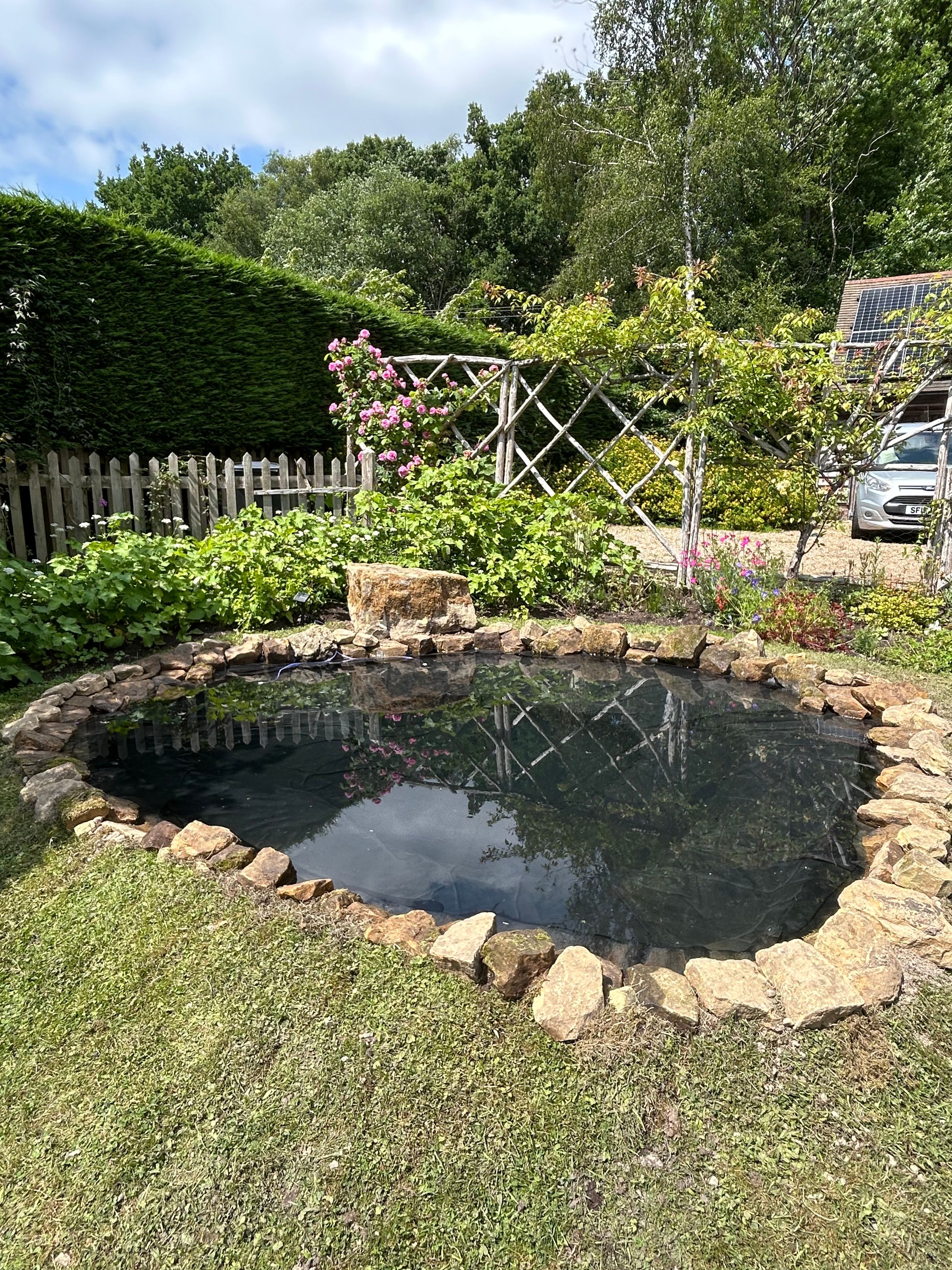 Alex’s Aquatics 's image