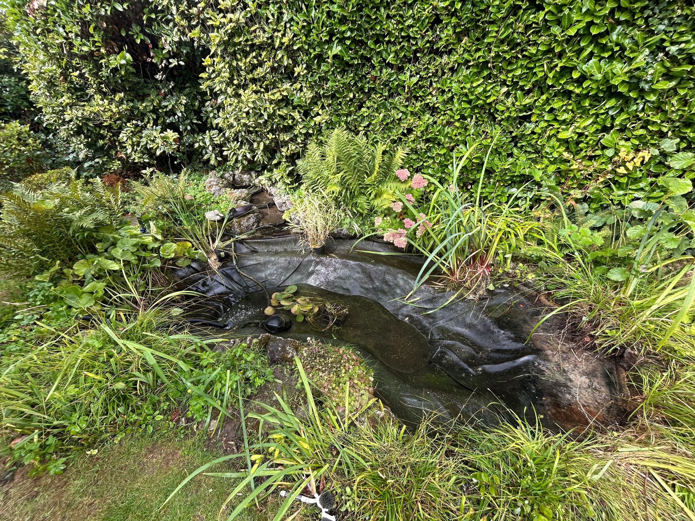 Alex’s Aquatics 's image