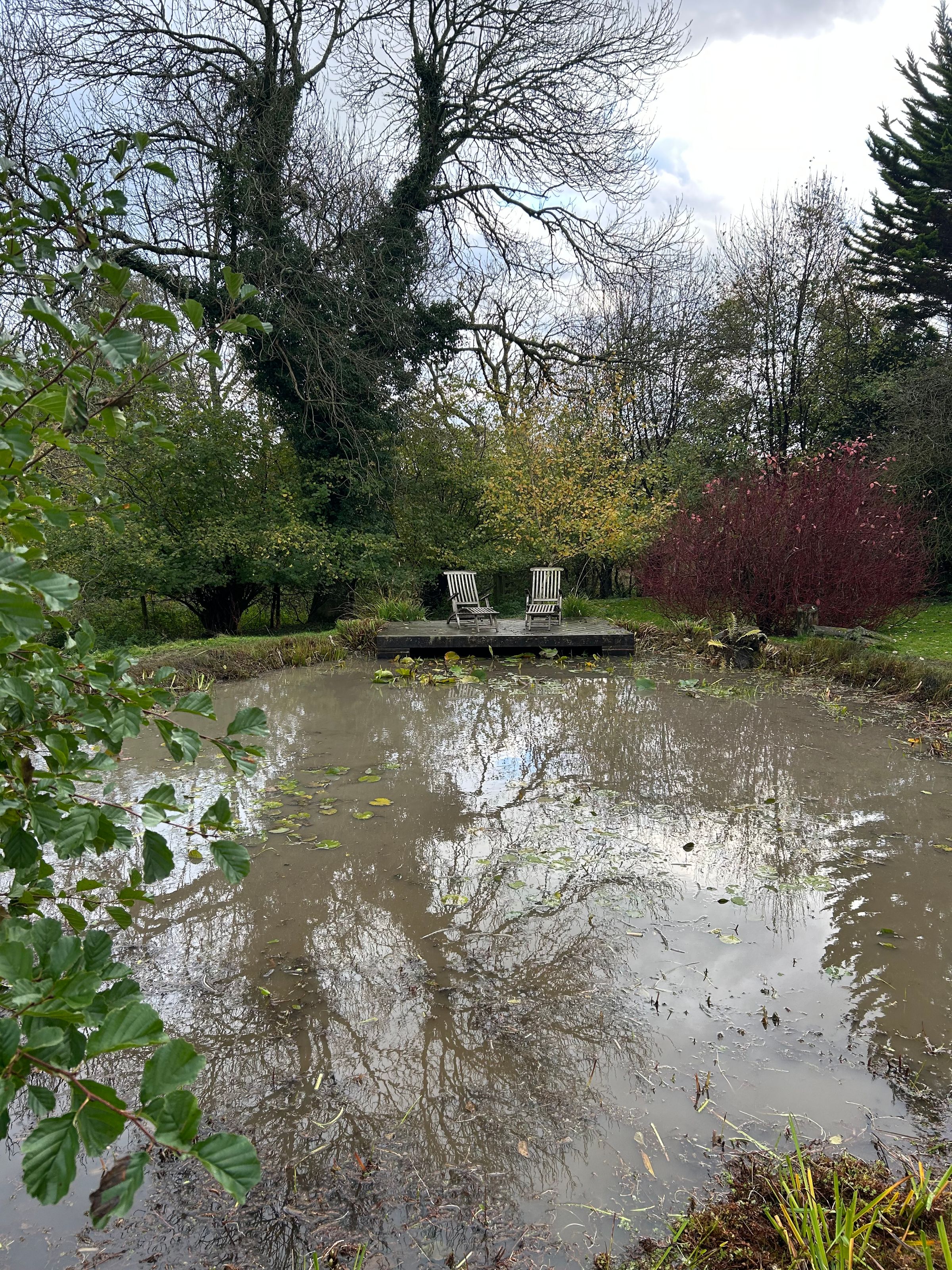 Alex’s Aquatics 's image