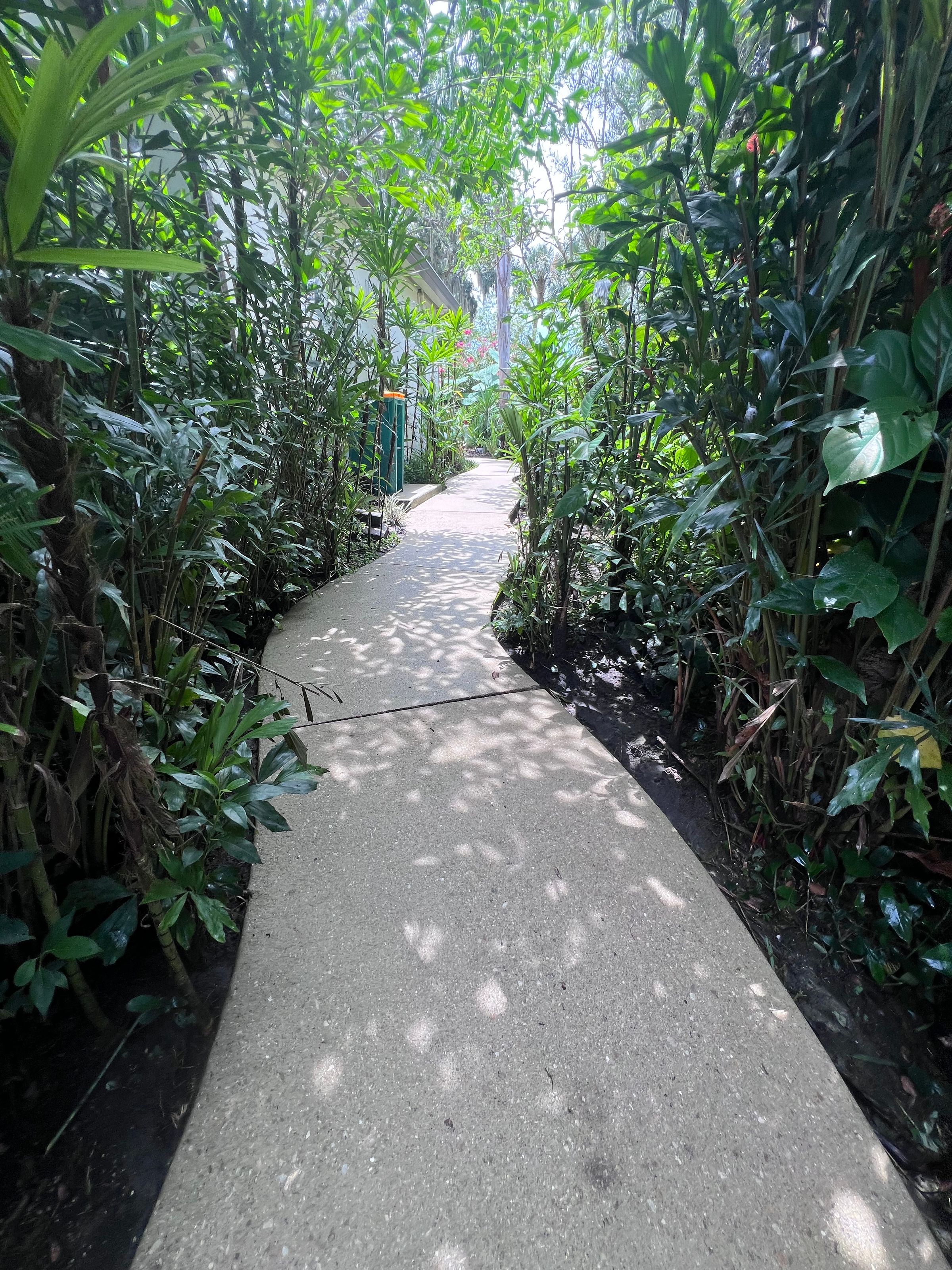Oliveira Power Wash LLC's image