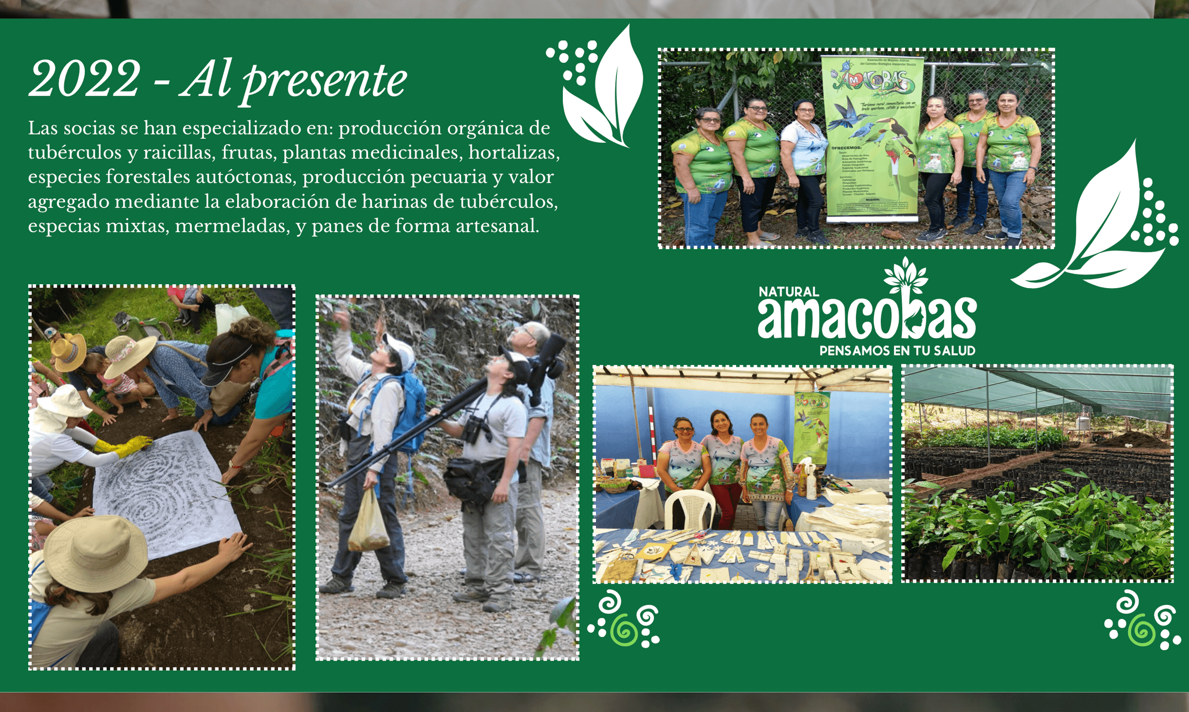 AMACOBAS's image