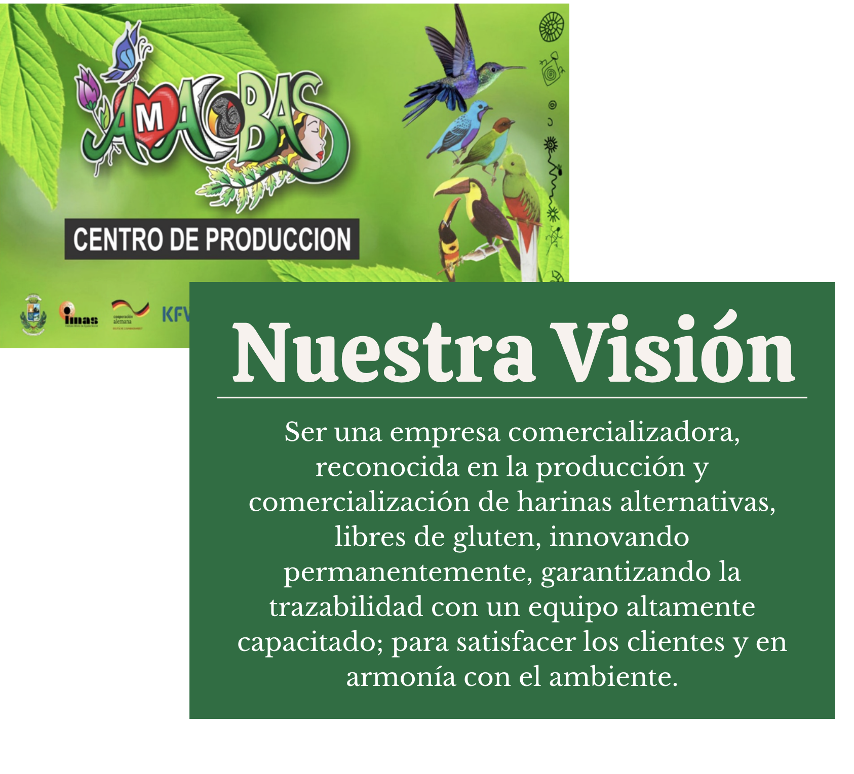 AMACOBAS's image