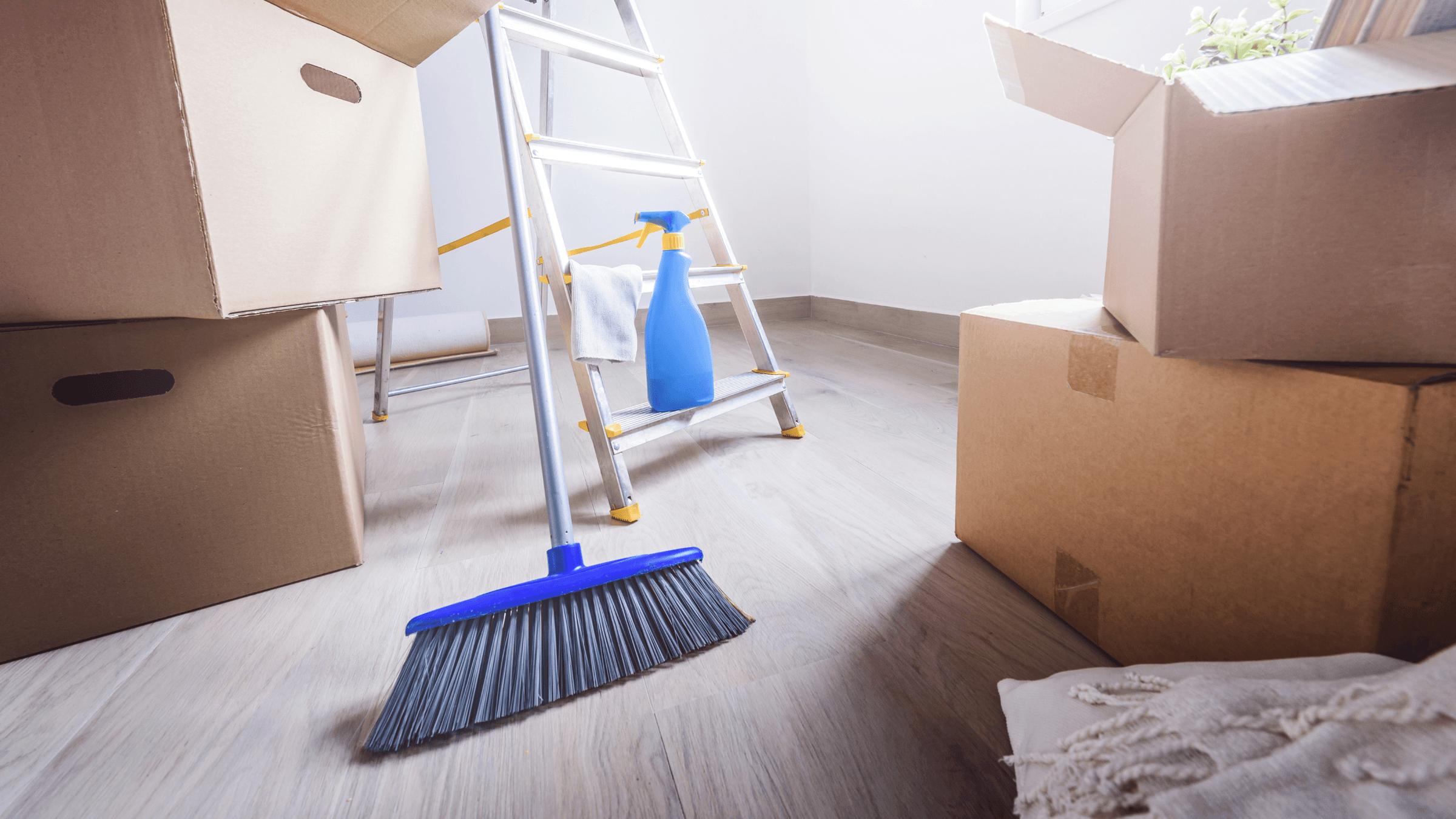 SpecifiClean Services LTD's image