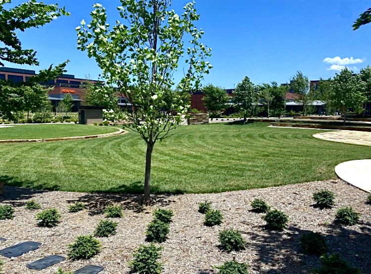 GREENLINE LAWNS's image
