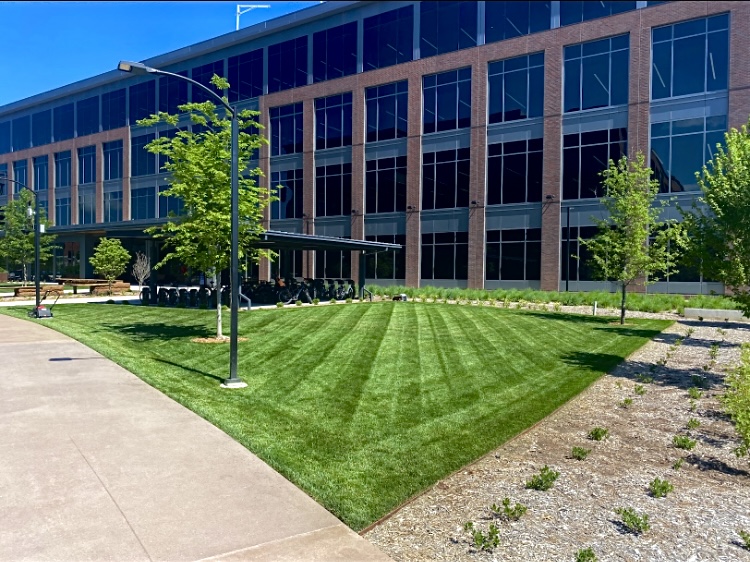 GREENLINE LAWNS's image