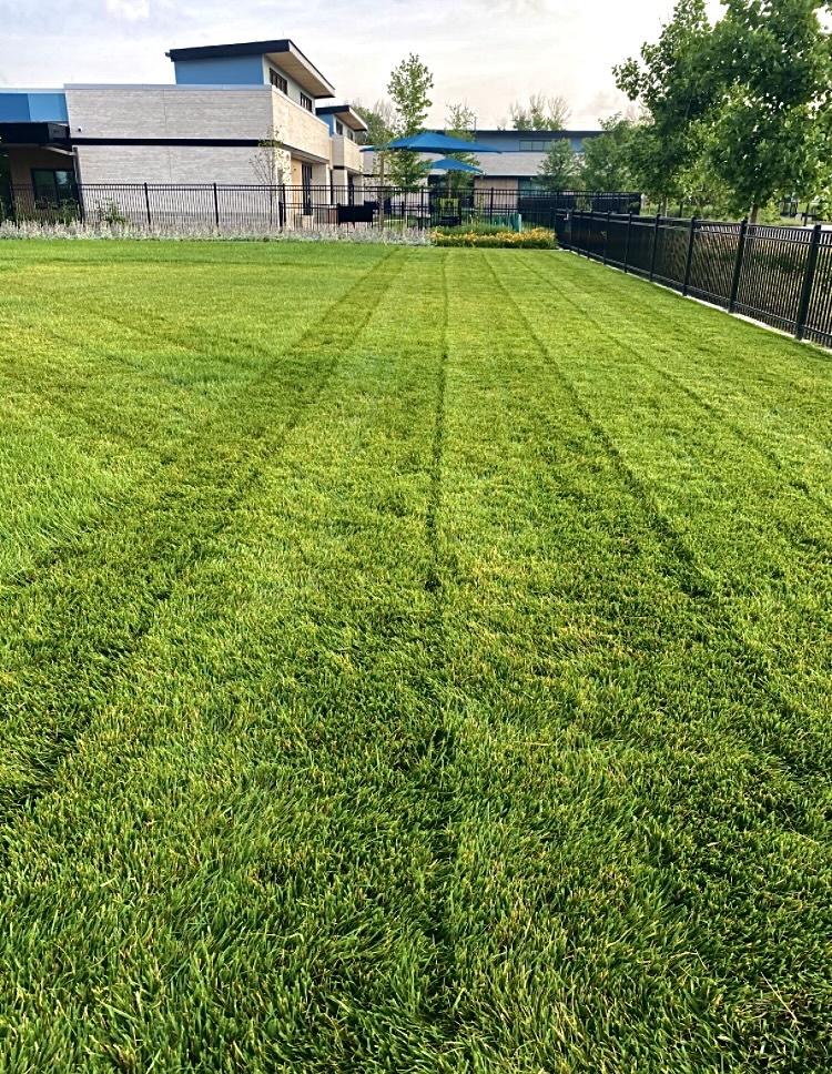 GREENLINE LAWNS's image