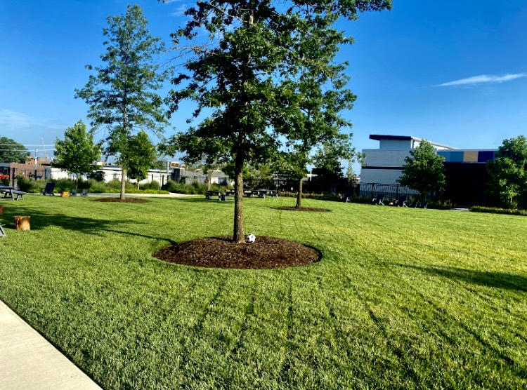 GREENLINE LAWNS's image
