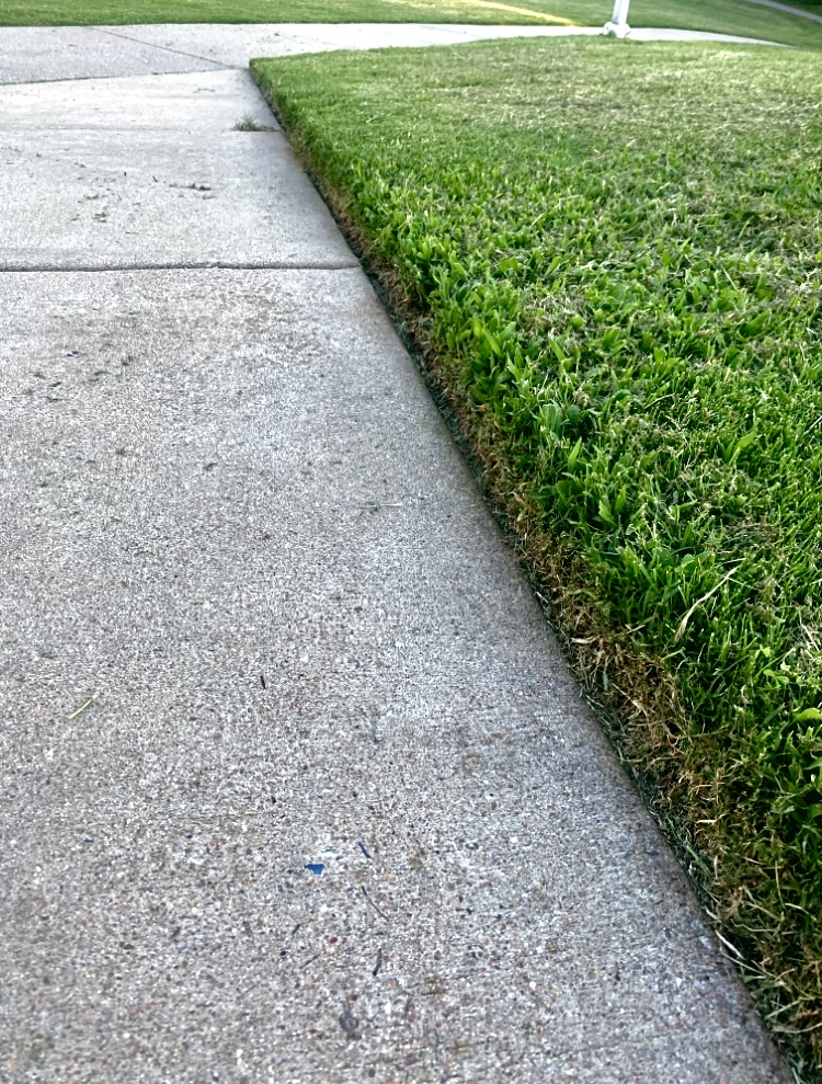 GREENLINE LAWNS's image