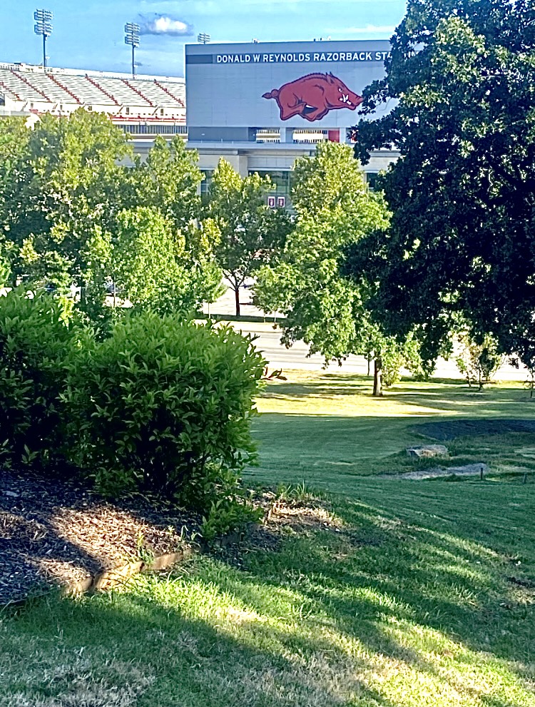 GREENLINE LAWNS's image