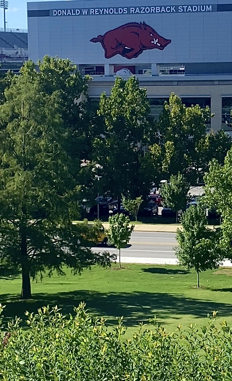 GREENLINE LAWNS's image